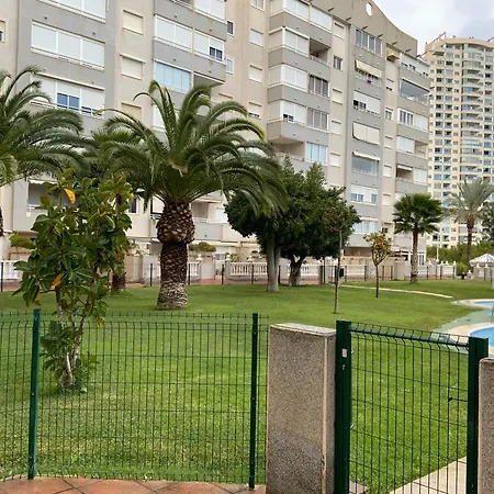 Olivos Benidorm