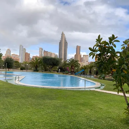Olivos Benidorm