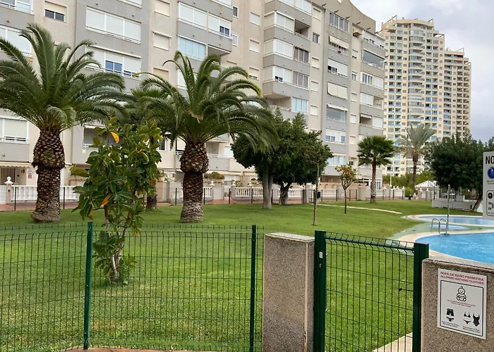 Olivos Benidorm